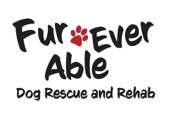 Help us in helping dogs & puppies with special needs or circumstances!
